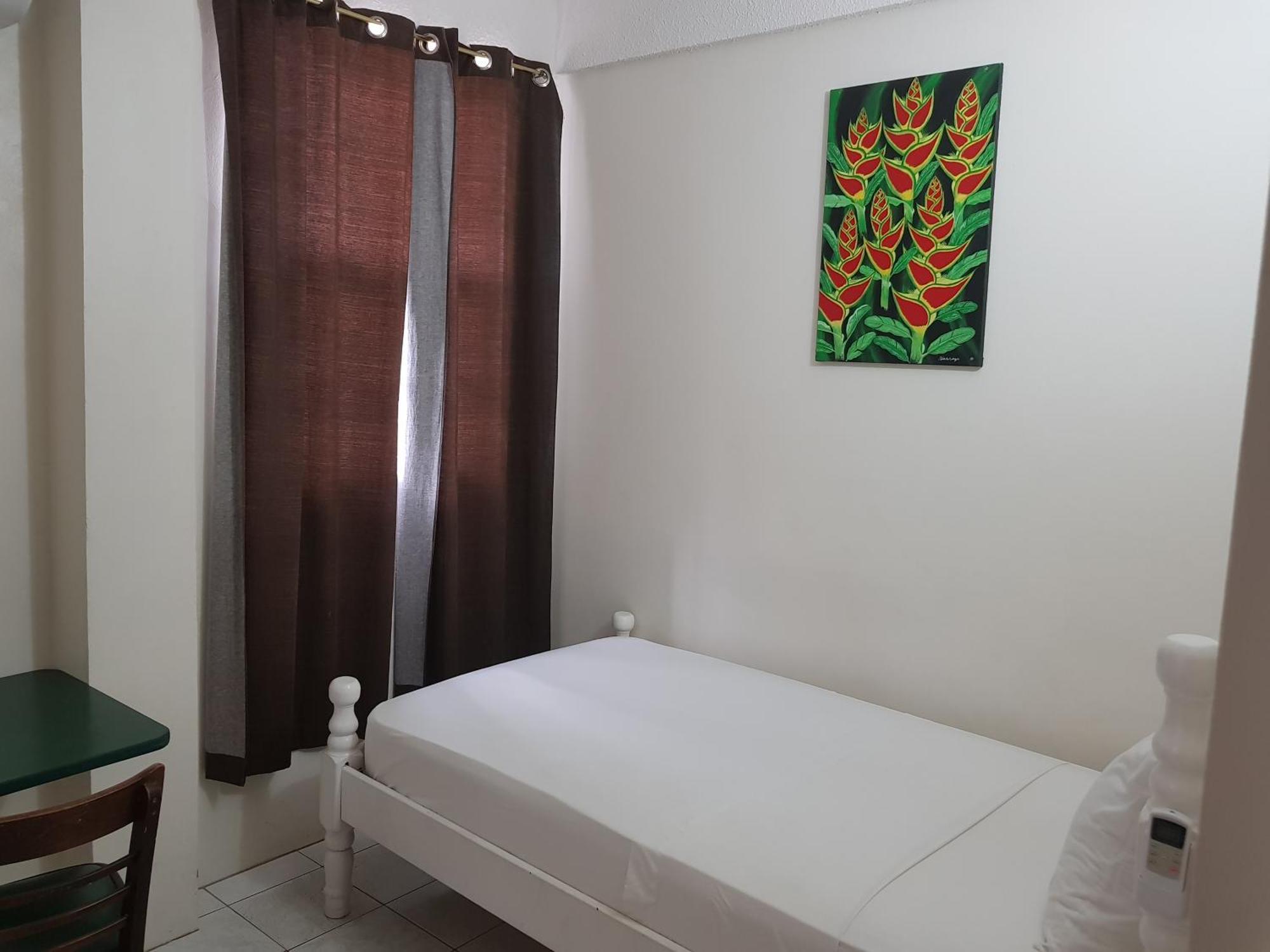 St. James Guesthouse Roseau Buitenkant foto